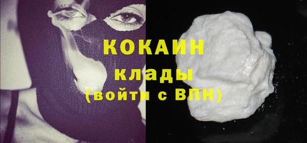 индика Арсеньев