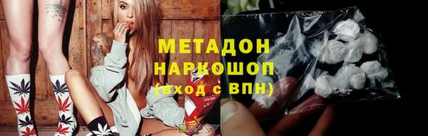индика Арсеньев
