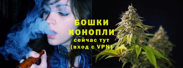 бошки Армянск