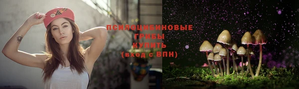 герыч Аркадак
