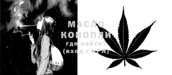 индика Арсеньев