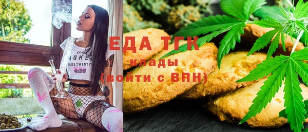индика Арсеньев