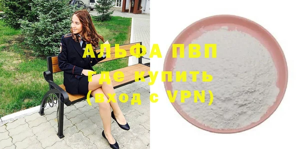 индика Арсеньев