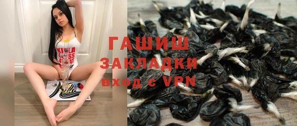 индика Арсеньев