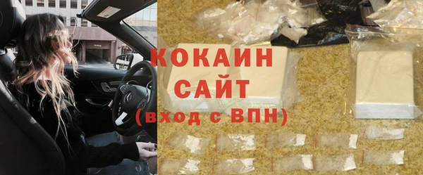 дмт Няндома