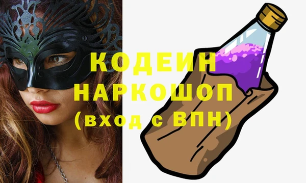 индика Арсеньев
