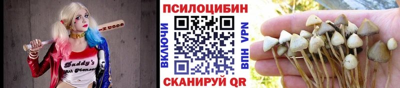 сколько стоит Слюдянка Псилоцибиновые грибы MAGIC MUSHROOMS